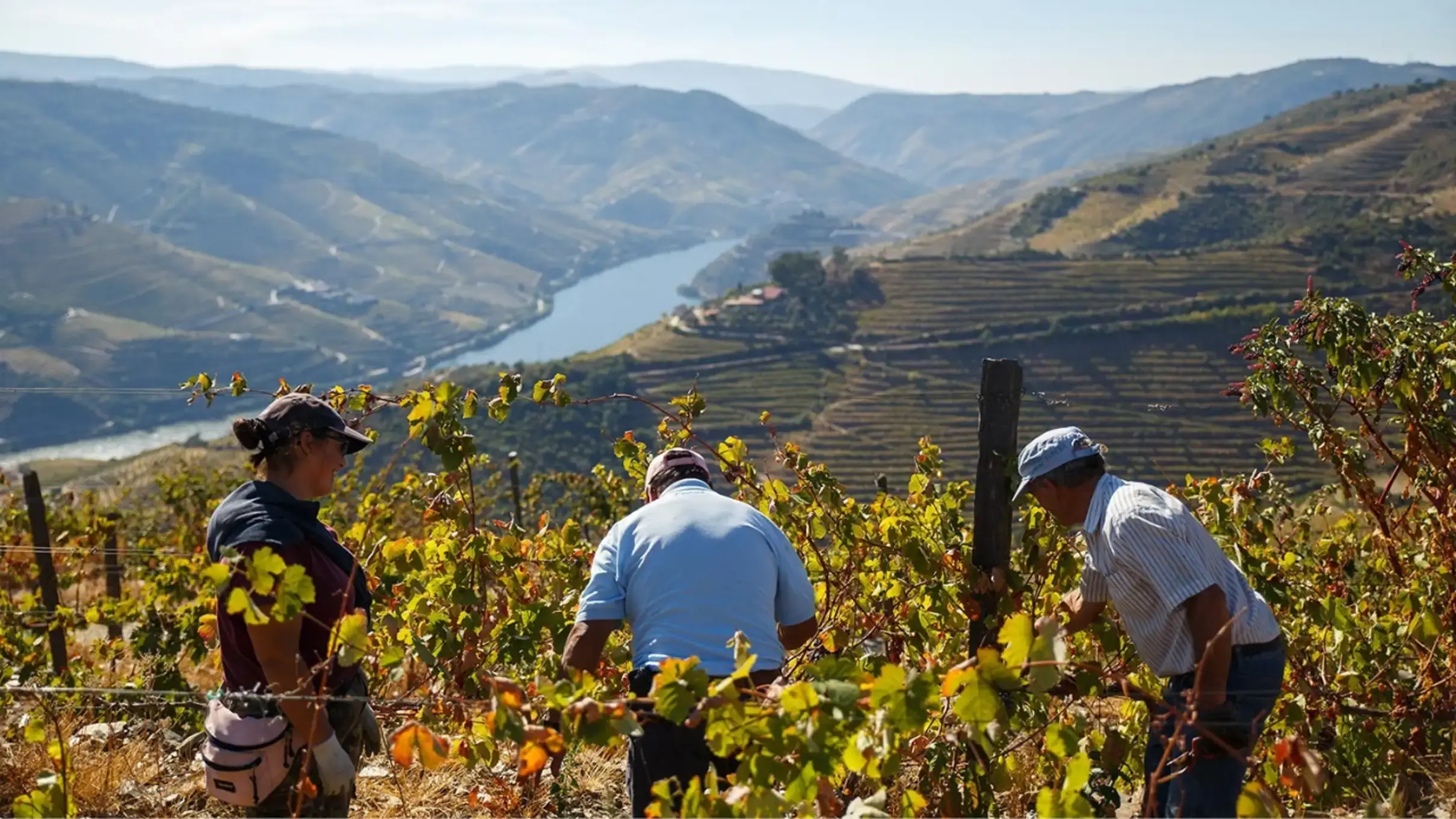 Douro Valley : Exclusive and Sustainable experience - Image 2
