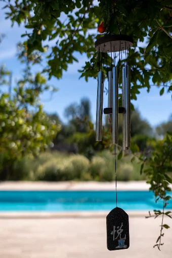Half-day Detox, Mineralization & Recovery in Loulé